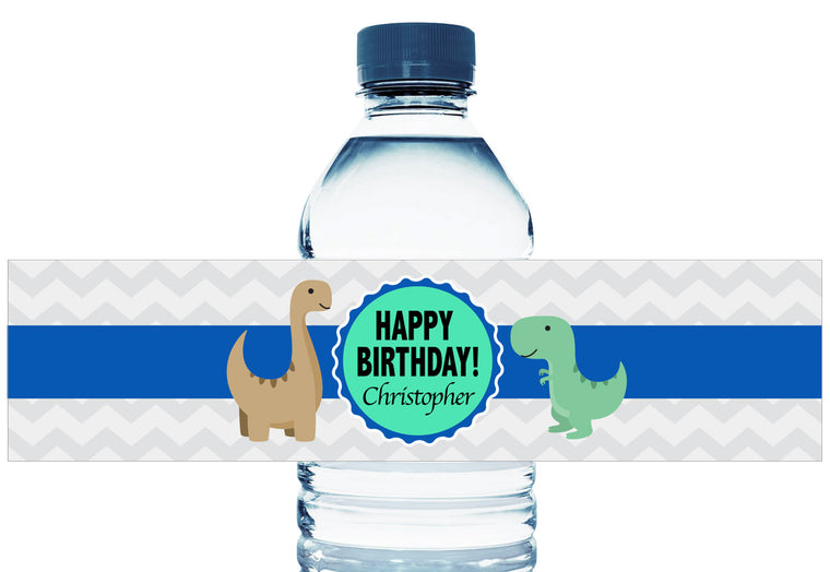 Dinosaur Personalized Boy Birthday Water Bottle Labels