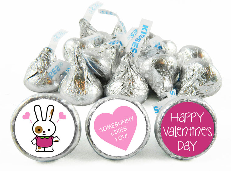 Some Bunny Loves You Valentine's Day Labels for Hershey's Kisses